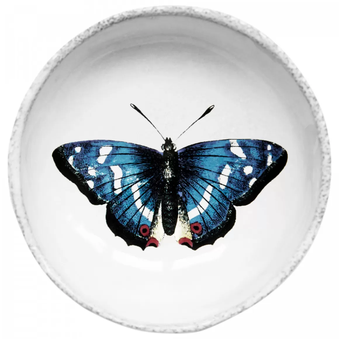 Astier de Villatte Blue Butterfly Dish