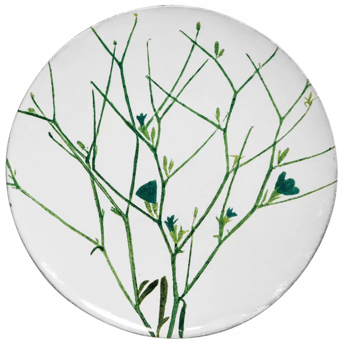 Astier de Villatte Cichorium Plate