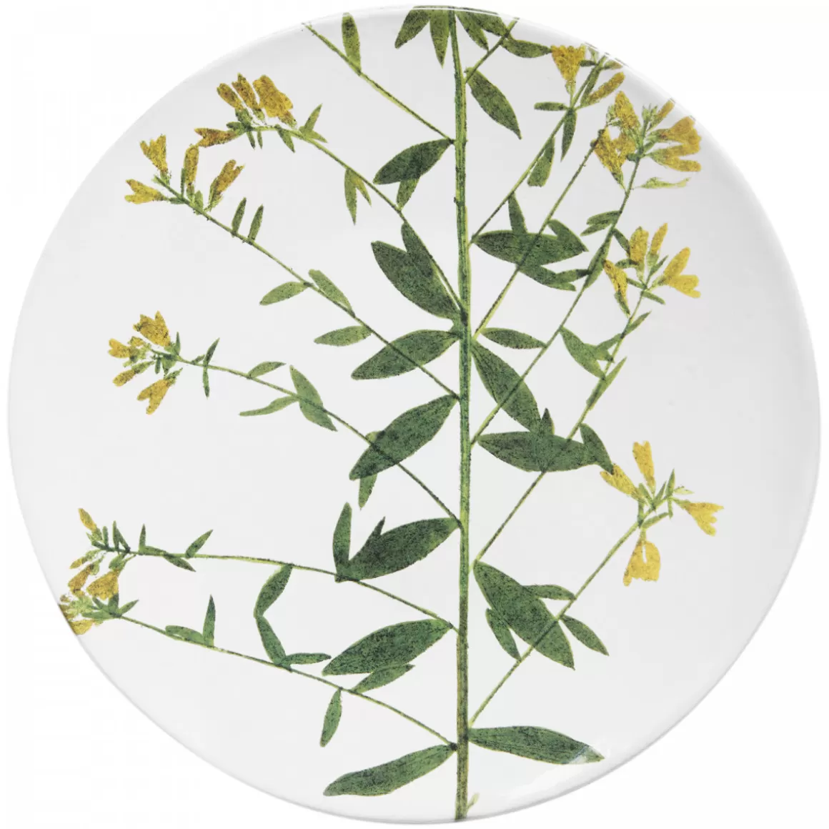Astier de Villatte Genista Plate